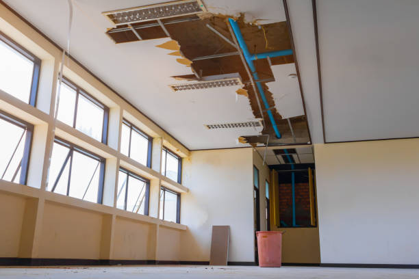 Water damage restoration mold remediation in Marseilles, IL
