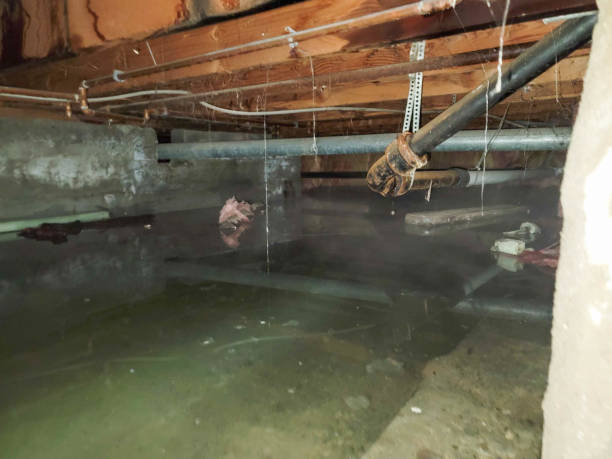 Best 24-hour water damage restoration  in Marseles, IL