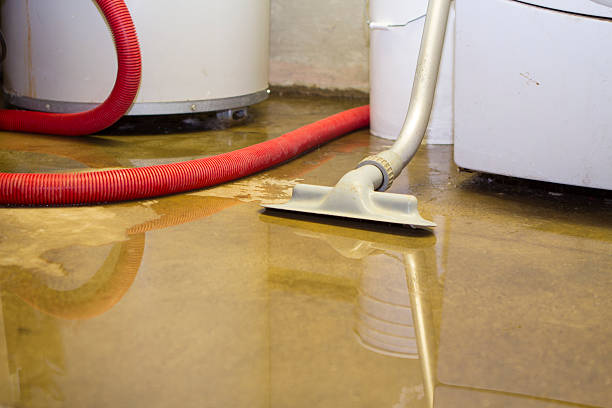 Best Ceiling water damage repair  in Marseles, IL