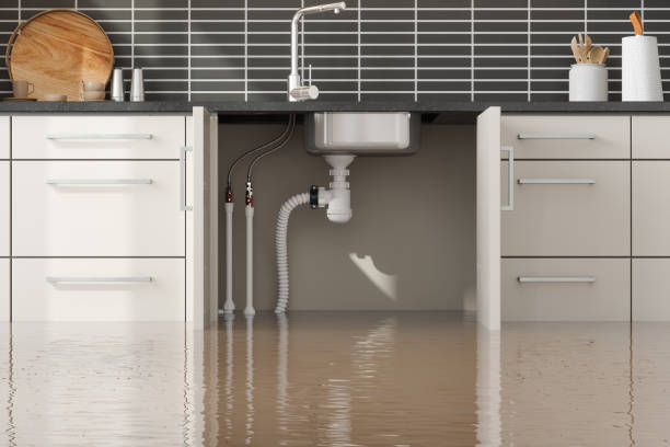 Best Water damage contractors near me  in Marseles, IL